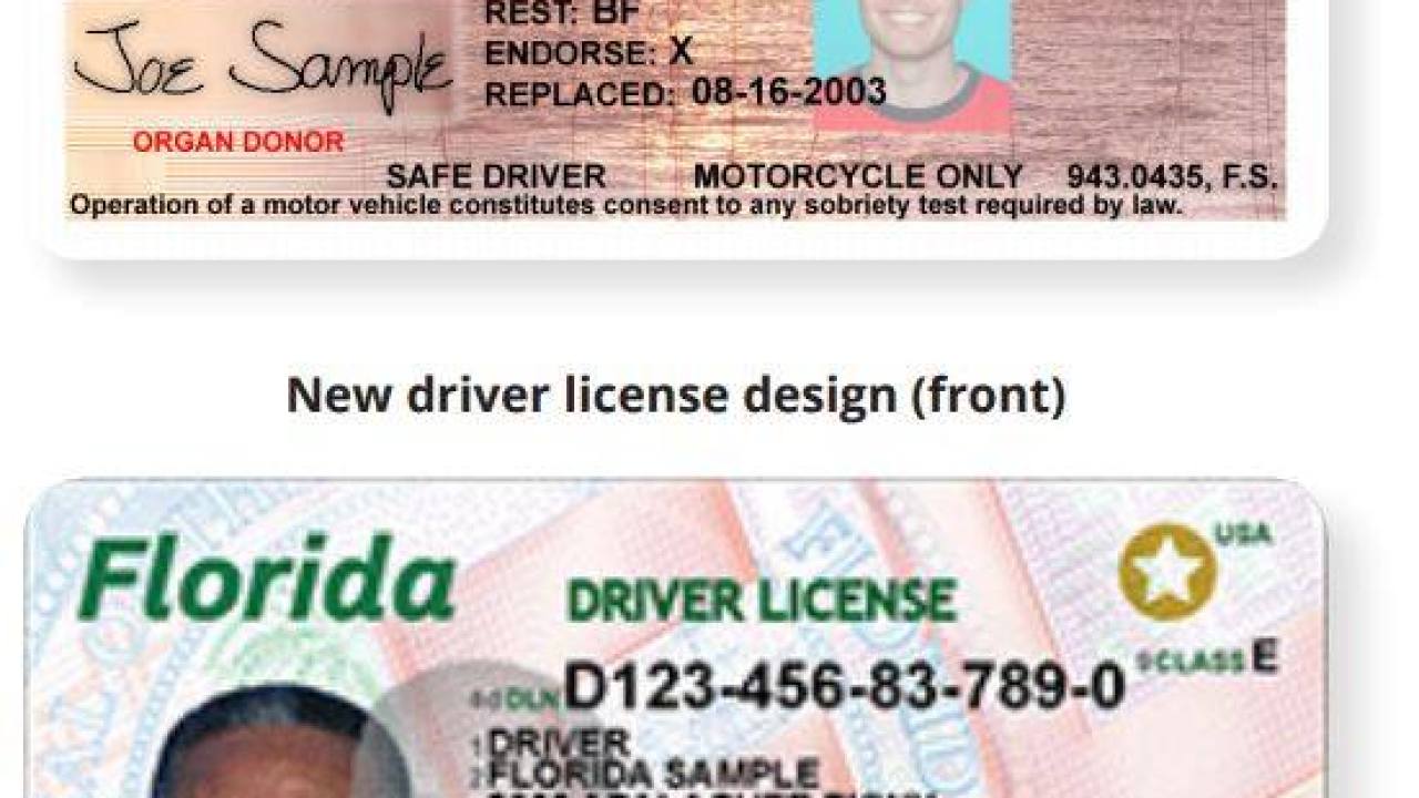 lost my drivers license florida