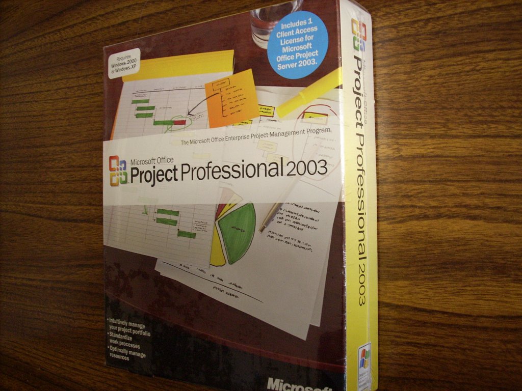 Microsoft Office Project Professional 2003